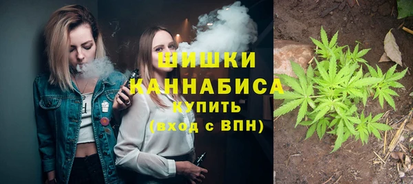 амф Верея