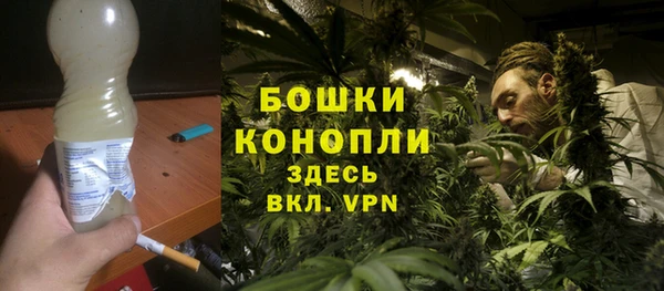 амф Верея